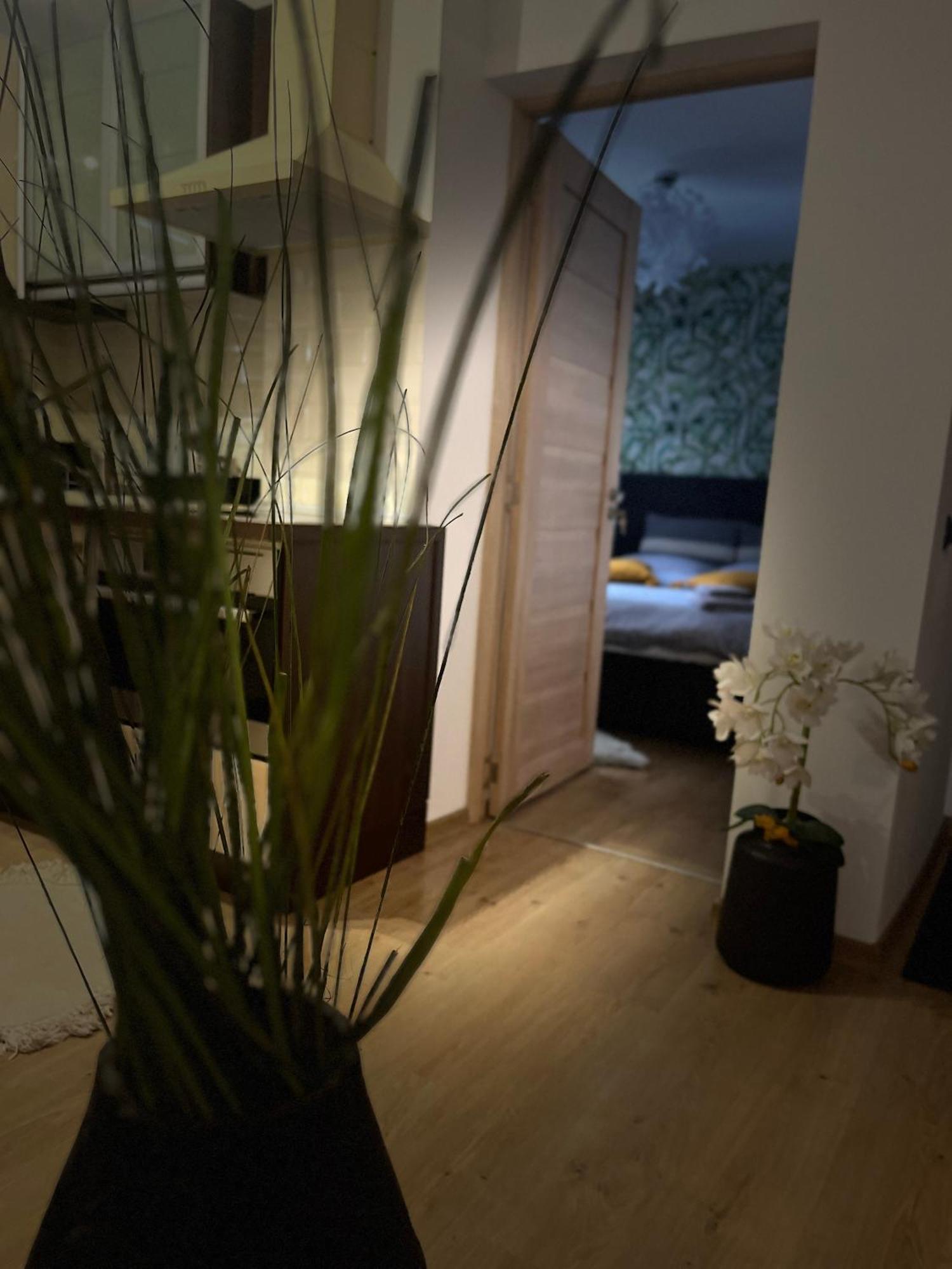 Roman Residence Apartment Borsa  Luaran gambar